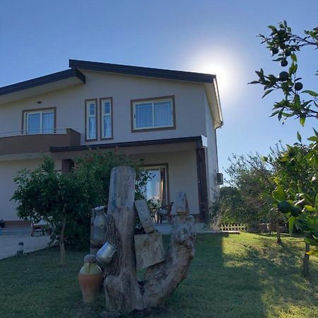 Sunnyside Villa Durres Ngoại thất bức ảnh